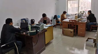 東光縣審計局職業中介活動專項審計工作周報（11.09-11.15）